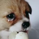 꿈 이미지