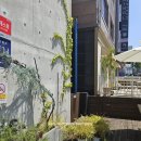 카페쁠레노 | 강남구청역 분위기 좋은 카페 카페쁠레노 메뉴 추천 및 솔직 후기