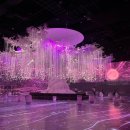 신화에너지 제일주유소 | 실내 가볼만한곳 추천 플래시백 계림 방문 후기, 신라 신화 몰입형 미디어아트 경주포토존 실내놀거리...