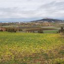 제주 셋알오름 일제 고사포진지 이미지