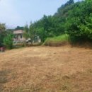 우두2통 이미지