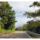 백송식당 이미지