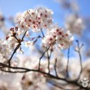 MK공인중개사사무소 이미지