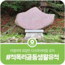 적목리 공동생활유적 이미지