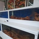 동해안붉은대게무한리필역곡점 | 홍게제철 9월 가볼만한 속초 게장 맛집 - 동해안붉은대게