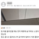 등뒤에당근 | '별점 뒤에 숨어 있는 사람은 누구인가?' 당근 마켓 리뷰 조작, 이대로 괜찮을까?