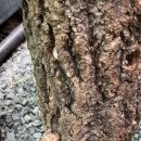 반석농장(2) 이미지