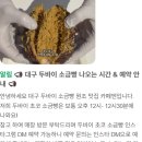 카페엔 | 대구 두바이 소금빵 | 대구 예약가능한 두바이소금빵 신세계 팝업 카페엔 두바이소금빵 후기