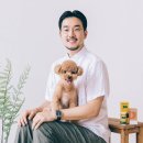 윌리스펫 이미지