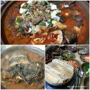 청기와 메기찜 이미지