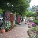 월드콘도 이미지