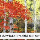 하얀 숲에 물든 단풍, 영양 자작나무숲으로 떠나봅시다. 이미지