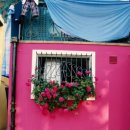 수동물병원 이미지