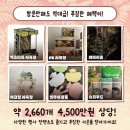 테라리움동물병원