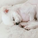 기흥슈퍼 이미지