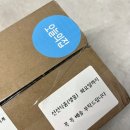 커피나무 | 오늘의집 앱 : 가드닝 게임으로 키운 커피나무 후기