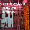 성성호수공원 | 천안/성성호수공원맛집 통삼국본점 삼겹살후기