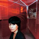 갤러리캣 이미지