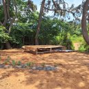 버들농장 이미지