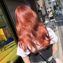 개나리미장원 이미지
