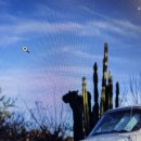 충남대학교 교육대학원 이미지