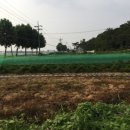 송용리2 이미지