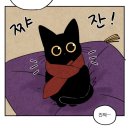 애리세탁소 | My Life is Free