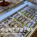 바로본안경콘택트 이미지