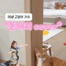돈버리 이미지