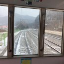 영주가락국수 | 백두대간 협곡열차 V-train 영주역에서 철암역 후기 예매방법 가격 추천 좌석 시간표