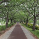 낙동강자전거길 이미지