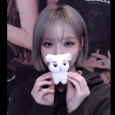 디딤발