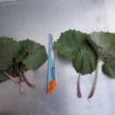 장전서당골 영농조합법인 이미지