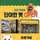 단아한펫 이미지