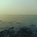 촌촌해녀촌 이미지