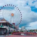 핑핑뽑기방 이미지