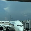 611 | 싱가포르 항공 싱가포르행 SQ611, SQ606 후기 | 기념일 이벤트 · 좌석 · 기내식