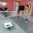 댕댕댕 애견유치원 이미지