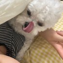 사랑의이름으로!