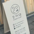 모어댄플라워 이미지