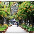 부천중앙공원 이미지