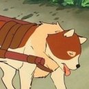 메종드유럽