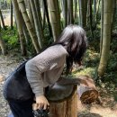 명진목장 이미지