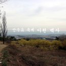 이천 여행 - 백사 산수유축제, 원적산성, 이천 백송, 반룡송, 김좌근 고택