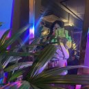 대산메디칼 | 내돈내산 정발산 밤가시마을 술집 숙성회 미담화 [싸움짱 솔직후기]