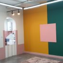 꽃피우개 이미지