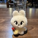 러키비키 노래연습장 | 251011 DOYOUNG ENCORE CONCERT [Yours] 막콘 후기 (Feat. 카카오셔틀)