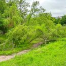 신동어린이공원 화장실 이미지