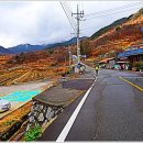 한창2태양광발전소 이미지