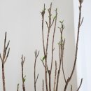 흥천보건지소 이미지